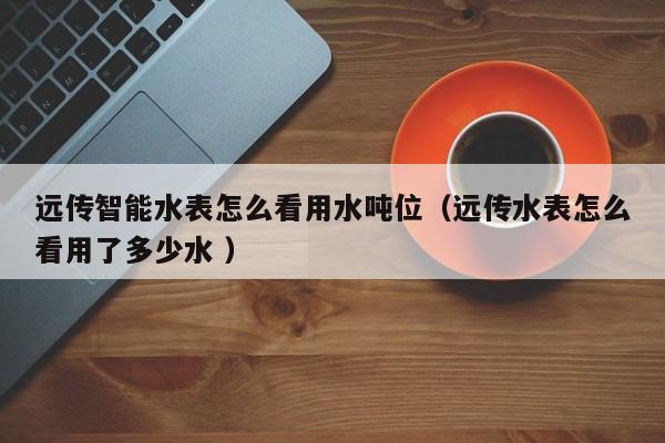 远传智能水表怎么看用水吨位（远传水表怎么看用了多少水 ）