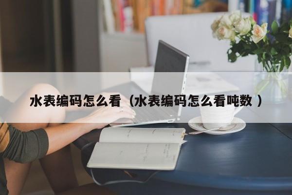 水表编码怎么看（水表编码怎么看吨数 ）