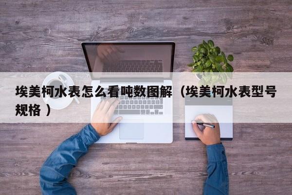 埃美柯水表怎么看吨数图解（埃美柯水表型号规格 ）