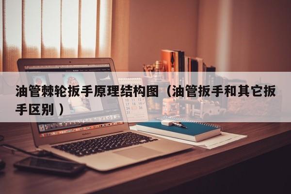 油管棘轮扳手原理结构图（油管扳手和其它扳手区别 ）