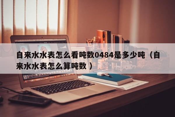自来水水表怎么看吨数0484是多少吨（自来水水表怎么算吨数 ）