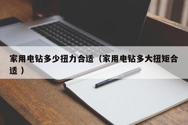 家用电钻多少扭力合适（家用电钻多大扭矩合适 ）