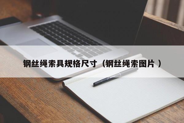 钢丝绳索具规格尺寸（钢丝绳索图片 ）