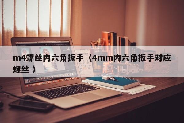 m4螺丝内六角扳手（4mm内六角扳手对应螺丝 ）