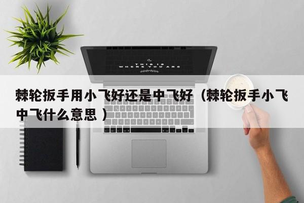 棘轮扳手用小飞好还是中飞好（棘轮扳手小飞中飞什么意思 ）