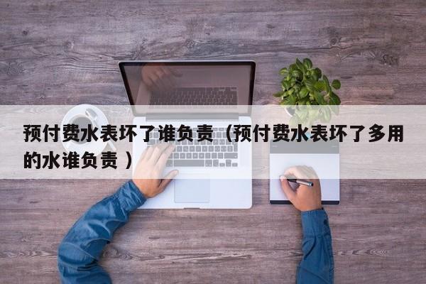 预付费水表坏了谁负责（预付费水表坏了多用的水谁负责 ）