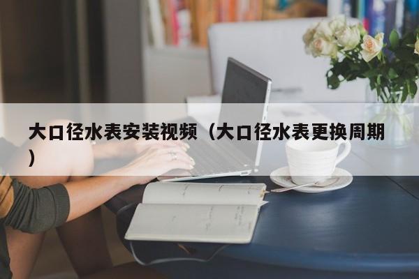 大口径水表安装视频（大口径水表更换周期 ）