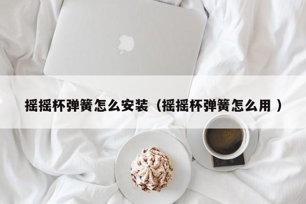 摇摇杯弹簧怎么安装（摇摇杯弹簧怎么用 ）