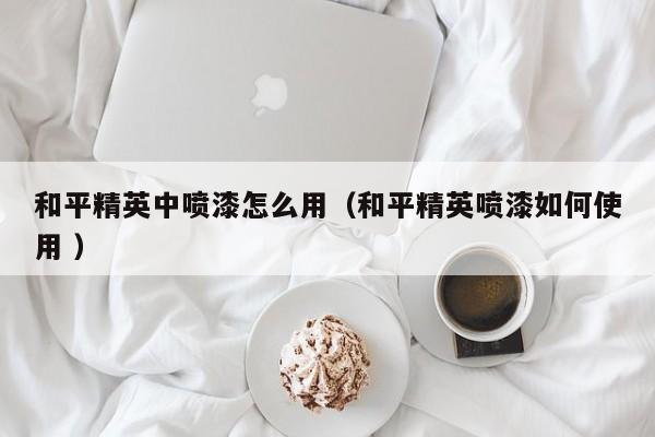 和平精英中喷漆怎么用（和平精英喷漆如何使用 ）