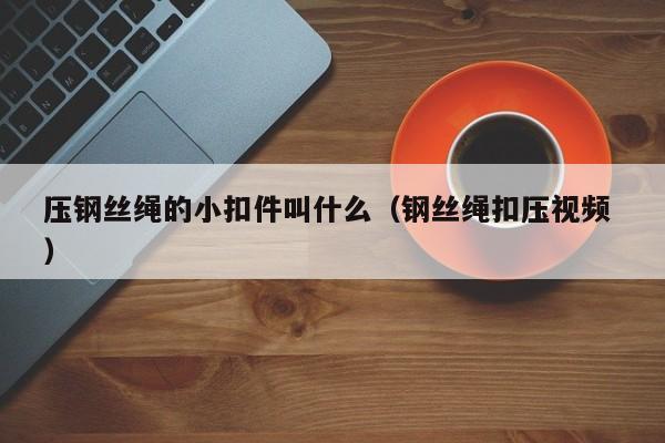 压钢丝绳的小扣件叫什么（钢丝绳扣压视频 ）