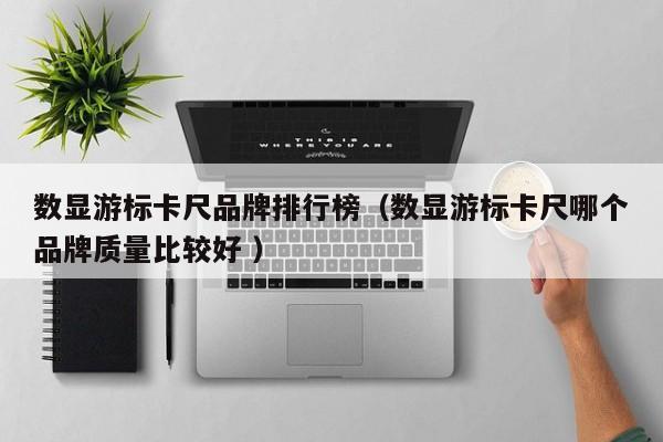 数显游标卡尺品牌排行榜（数显游标卡尺哪个品牌质量比较好 ）