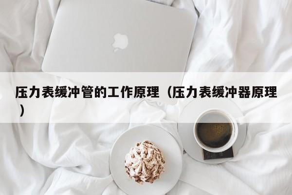 压力表缓冲管的工作原理（压力表缓冲器原理 ）