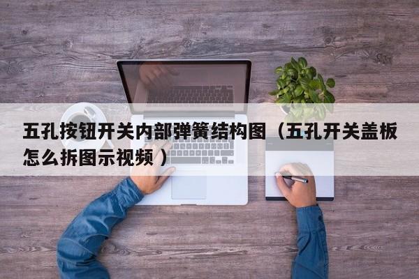五孔按钮开关内部弹簧结构图（五孔开关盖板怎么拆图示视频 ）