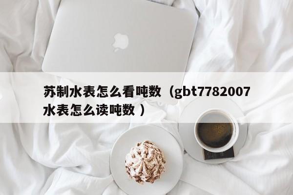 苏制水表怎么看吨数（gbt7782007水表怎么读吨数 ）