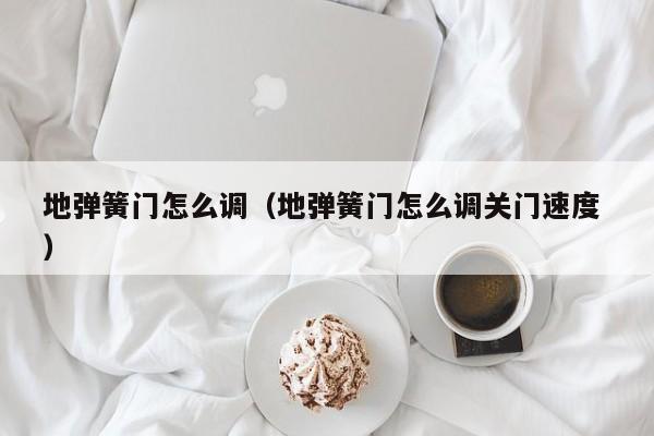 地弹簧门怎么调（地弹簧门怎么调关门速度 ）