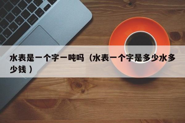 水表是一个字一吨吗（水表一个字是多少水多少钱 ）
