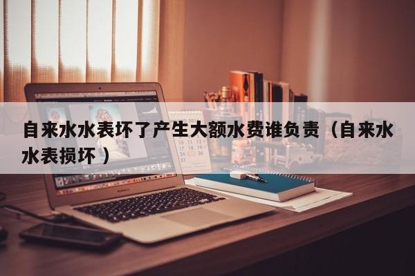 自来水水表坏了产生大额水费谁负责（自来水水表损坏 ）