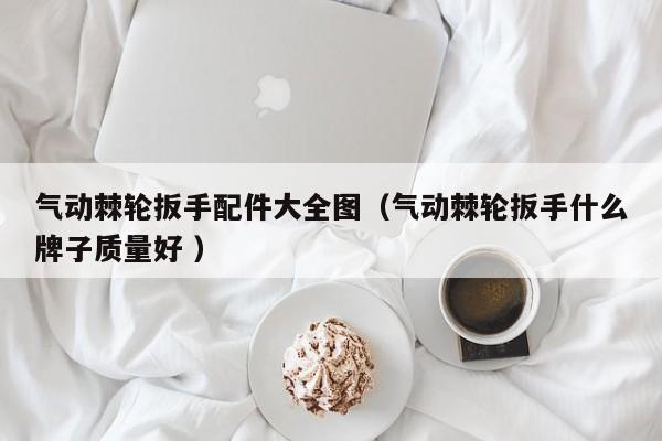 气动棘轮扳手配件大全图（气动棘轮扳手什么牌子质量好 ）