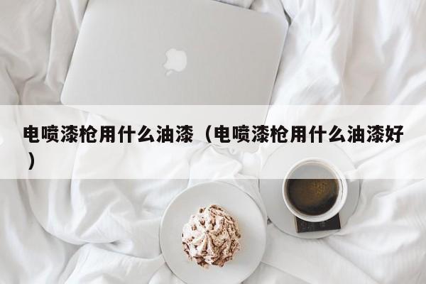 电喷漆枪用什么油漆（电喷漆枪用什么油漆好 ）
