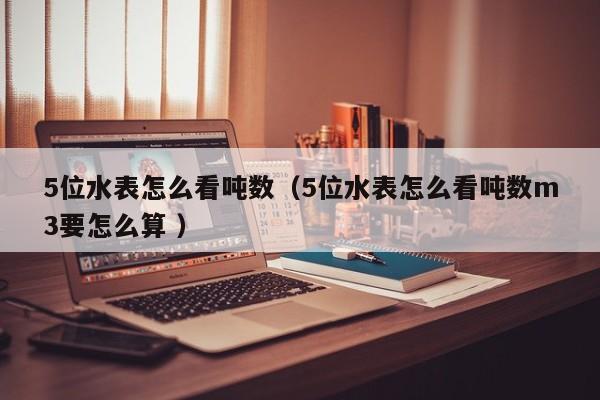 5位水表怎么看吨数（5位水表怎么看吨数m3要怎么算 ）