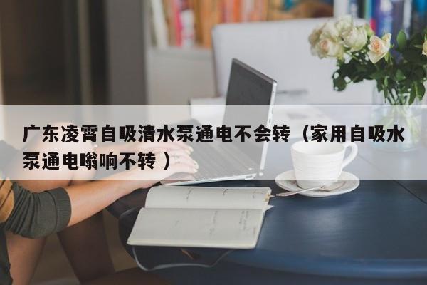广东凌霄自吸清水泵通电不会转（家用自吸水泵通电嗡响不转 ）