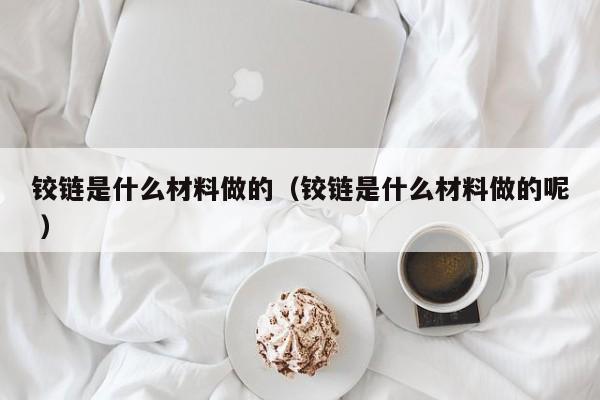 铰链是什么材料做的（铰链是什么材料做的呢 ）