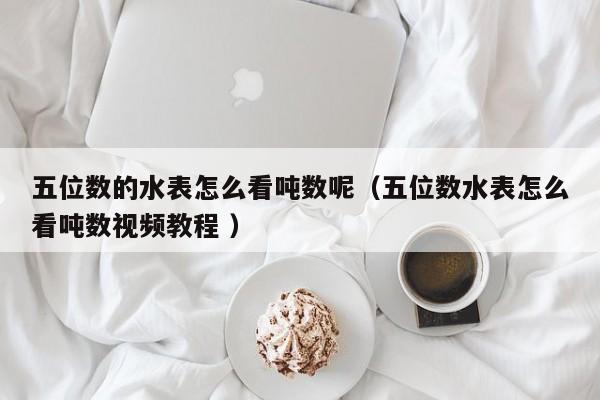五位数的水表怎么看吨数呢（五位数水表怎么看吨数视频教程 ）