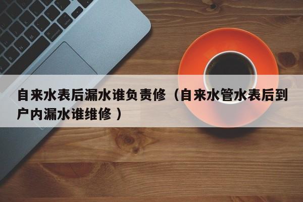 自来水表后漏水谁负责修（自来水管水表后到户内漏水谁维修 ）