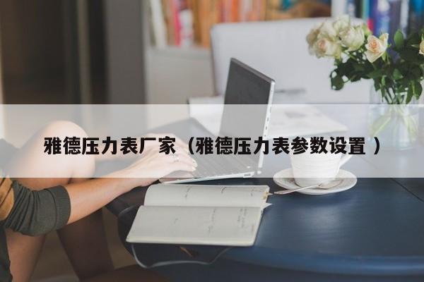 雅德压力表厂家（雅德压力表参数设置 ）