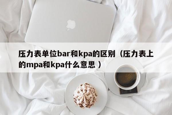 压力表单位bar和kpa的区别（压力表上的mpa和kpa什么意思 ）