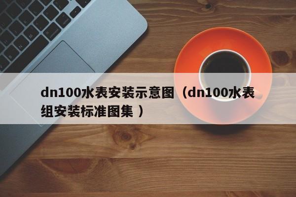 dn100水表安装示意图（dn100水表组安装标准图集 ）