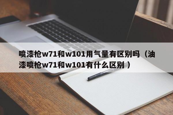 喷漆枪w71和w101用气量有区别吗（油漆喷枪w71和w101有什么区别 ）