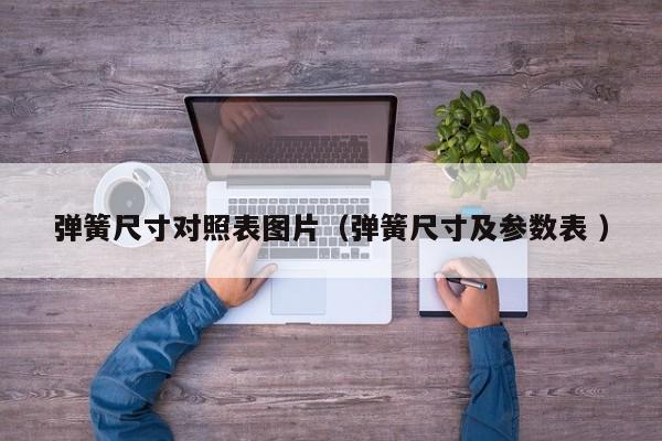 弹簧尺寸对照表图片（弹簧尺寸及参数表 ）