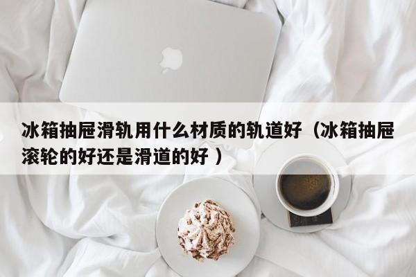 冰箱抽屉滑轨用什么材质的轨道好（冰箱抽屉滚轮的好还是滑道的好 ）