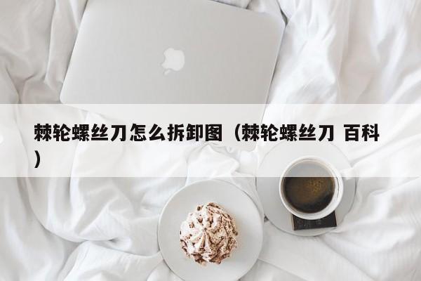 棘轮螺丝刀怎么拆卸图（棘轮螺丝刀 百科 ）