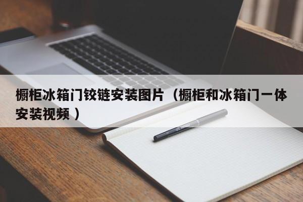 橱柜冰箱门铰链安装图片（橱柜和冰箱门一体安装视频 ）