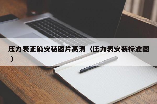 压力表正确安装图片高清（压力表安装标准图 ）