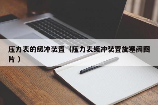 压力表的缓冲装置（压力表缓冲装置旋塞阀图片 ）