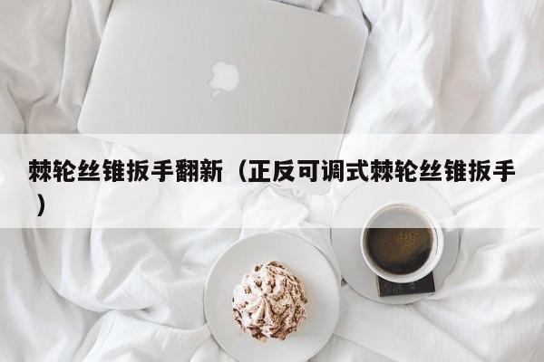 棘轮丝锥扳手翻新（正反可调式棘轮丝锥扳手 ）
