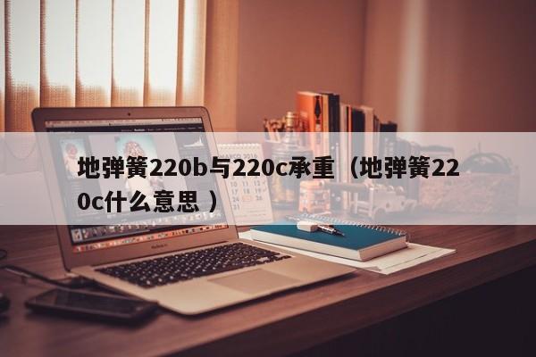 地弹簧220b与220c承重（地弹簧220c什么意思 ）