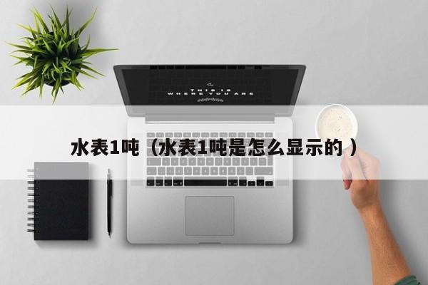 水表1吨（水表1吨是怎么显示的 ）