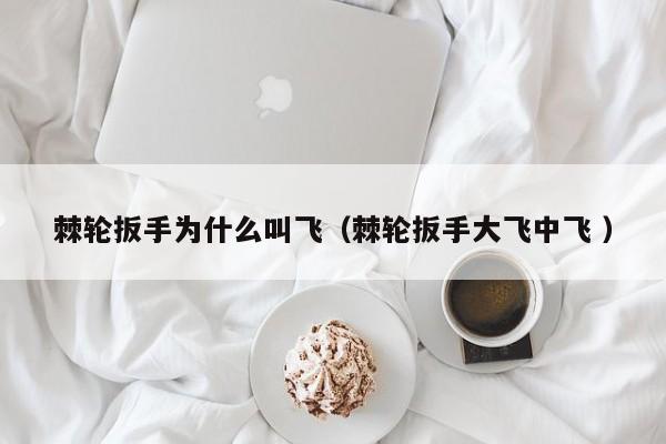 棘轮扳手为什么叫飞（棘轮扳手大飞中飞 ）