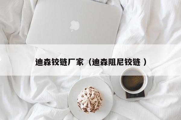 迪森铰链厂家（迪森阻尼铰链 ）